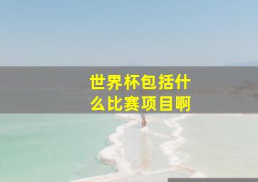 世界杯包括什么比赛项目啊