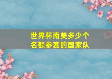 世界杯南美多少个名额参赛的国家队