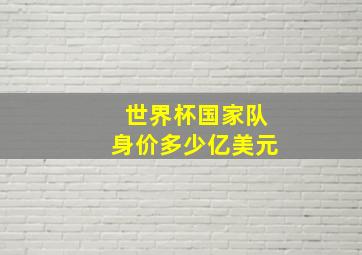 世界杯国家队身价多少亿美元