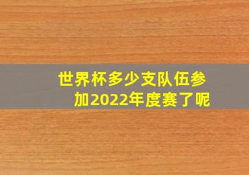 世界杯多少支队伍参加2022年度赛了呢