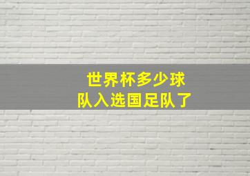 世界杯多少球队入选国足队了