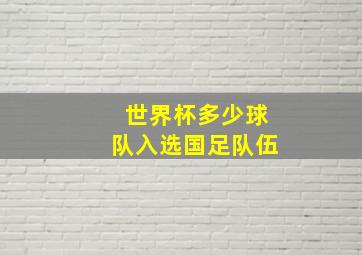 世界杯多少球队入选国足队伍