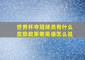 世界杯夺冠球员有什么奖励政策呢英语怎么说