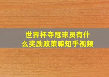 世界杯夺冠球员有什么奖励政策嘛知乎视频