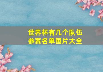 世界杯有几个队伍参赛名单图片大全