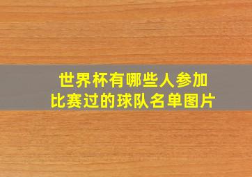 世界杯有哪些人参加比赛过的球队名单图片