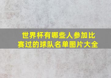 世界杯有哪些人参加比赛过的球队名单图片大全