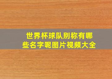 世界杯球队别称有哪些名字呢图片视频大全