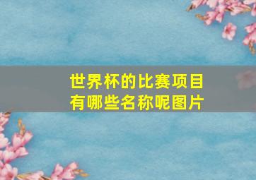 世界杯的比赛项目有哪些名称呢图片