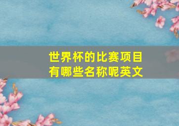 世界杯的比赛项目有哪些名称呢英文