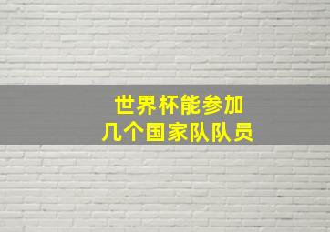 世界杯能参加几个国家队队员