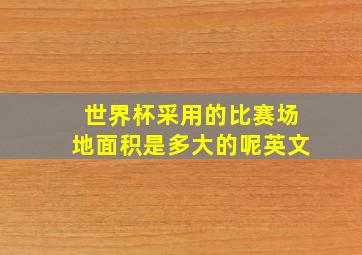 世界杯采用的比赛场地面积是多大的呢英文