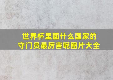 世界杯里面什么国家的守门员最厉害呢图片大全