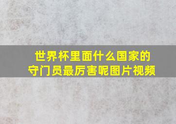 世界杯里面什么国家的守门员最厉害呢图片视频