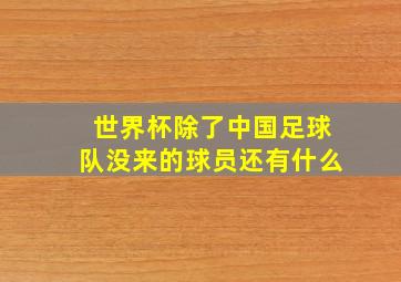 世界杯除了中国足球队没来的球员还有什么