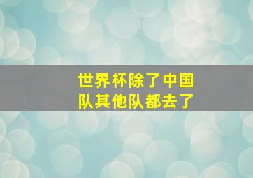 世界杯除了中国队其他队都去了