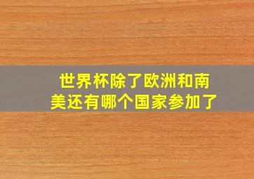 世界杯除了欧洲和南美还有哪个国家参加了