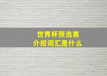 世界杯预选赛介绍词汇是什么