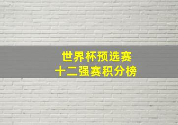 世界杯预选赛十二强赛积分榜