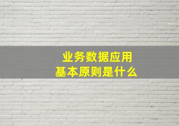 业务数据应用基本原则是什么