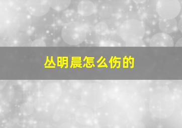 丛明晨怎么伤的