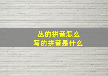 丛的拼音怎么写的拼音是什么