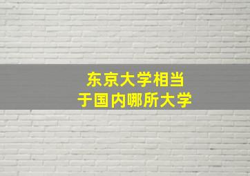 东京大学相当于国内哪所大学