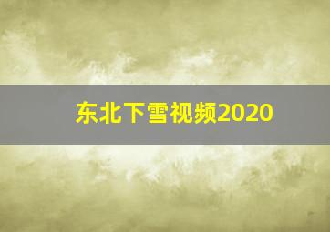 东北下雪视频2020