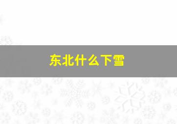 东北什么下雪