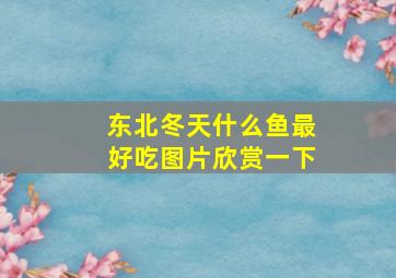 东北冬天什么鱼最好吃图片欣赏一下