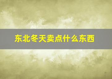 东北冬天卖点什么东西