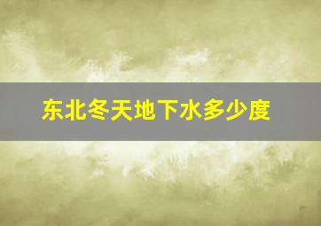 东北冬天地下水多少度