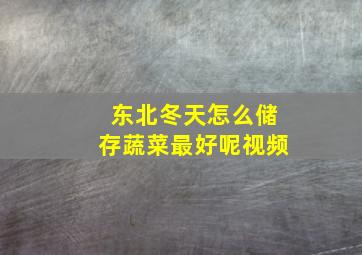 东北冬天怎么储存蔬菜最好呢视频