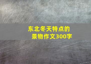 东北冬天特点的景物作文300字