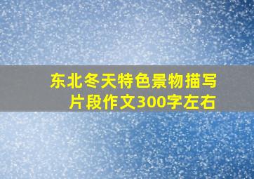 东北冬天特色景物描写片段作文300字左右