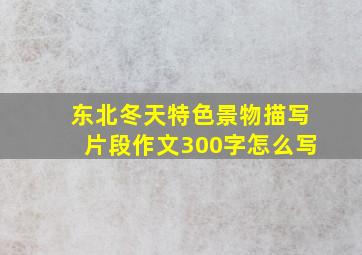 东北冬天特色景物描写片段作文300字怎么写