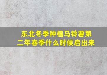 东北冬季种植马铃薯第二年春季什么时候启出来