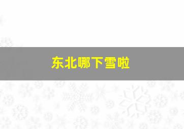 东北哪下雪啦