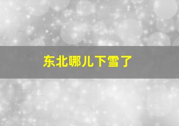 东北哪儿下雪了