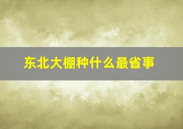 东北大棚种什么最省事