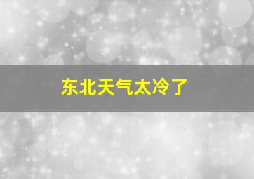 东北天气太冷了