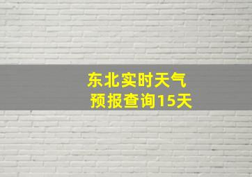 东北实时天气预报查询15天