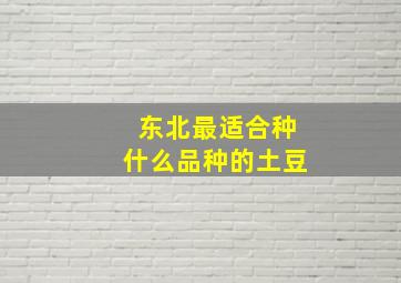 东北最适合种什么品种的土豆