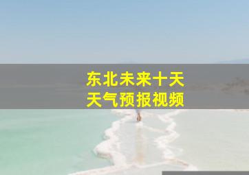 东北未来十天天气预报视频