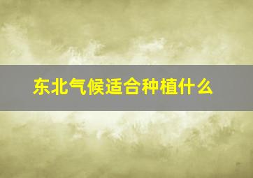 东北气候适合种植什么