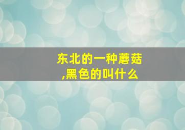 东北的一种蘑菇,黑色的叫什么