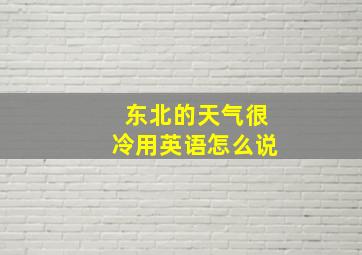 东北的天气很冷用英语怎么说