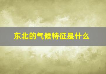 东北的气候特征是什么