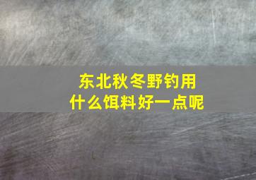 东北秋冬野钓用什么饵料好一点呢