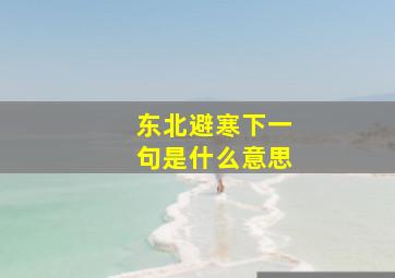 东北避寒下一句是什么意思